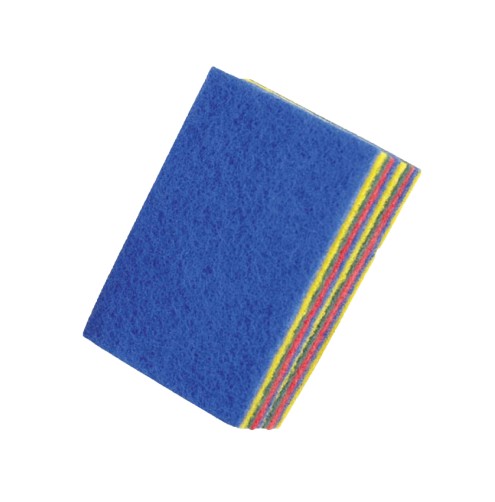 Flat Scourers 10-Pack