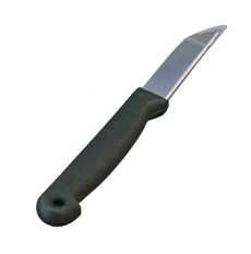 Economy Paring Knife Stainless Steel
